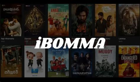 i bomma app|iBOMMA APP Download iBOMMA APK Latest Version For android